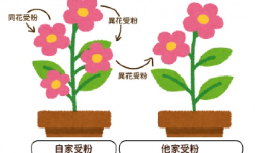 墨镜偏光和不偏光的区别是什么-权威墨镜偏不偏光有什么区别平台,分享专业墨镜偏光和不偏光外观区别知识_墨镜不偏光区别网