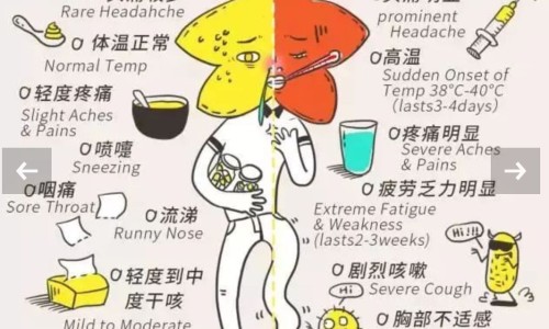 权威墨镜偏不偏光有什么区别平台,分享专业墨镜偏光和不偏光外观区别知识_墨镜不偏光区别网