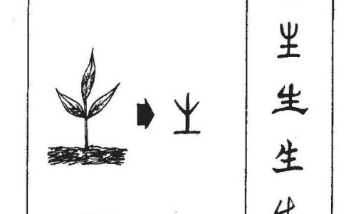 墨镜不偏光跟偏光什么区别-权威墨镜偏不偏光有什么区别平台,分享专业墨镜偏光和不偏光外观区别知识_墨镜不偏光区别网